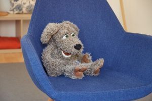 Therapietier Paul
